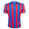 Camisola Crystal Palace Homen Equipamento 1ª 2025-26
